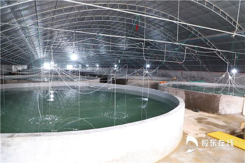 质量溯源孕育水产品行业发展的澎湃动能